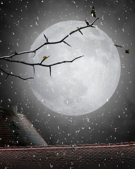 Bc Background Hd New, Moon Background For Editing, Bc Background Hd, Snapseed Background, Real Background, Background Png Images, Full Hd Background, Moon Background, Sky Pic