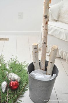 White Birch Christmas Tree Decorating Ideas, Birch Evergreen Planter, Birch Sticks In Planters, Birch Sticks Christmas Decor, Birch Wood Christmas Decor, Wood Log Christmas Decor, Indoor Birch Tree Decor, Birch Christmas Planter, White Birch Logs Decor Rustic Christmas