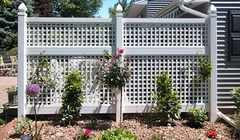 backyard privacy screen made to block the view of a patio Deck Privacy Ideas, Lattice Fence Panels, Vinyl Lattice Panels, Lattice Privacy Screen, Backyard Privacy Screen, Fence Planning, Privacy Screen Deck, Vinyl Fence Panels, Garden Gates And Fencing