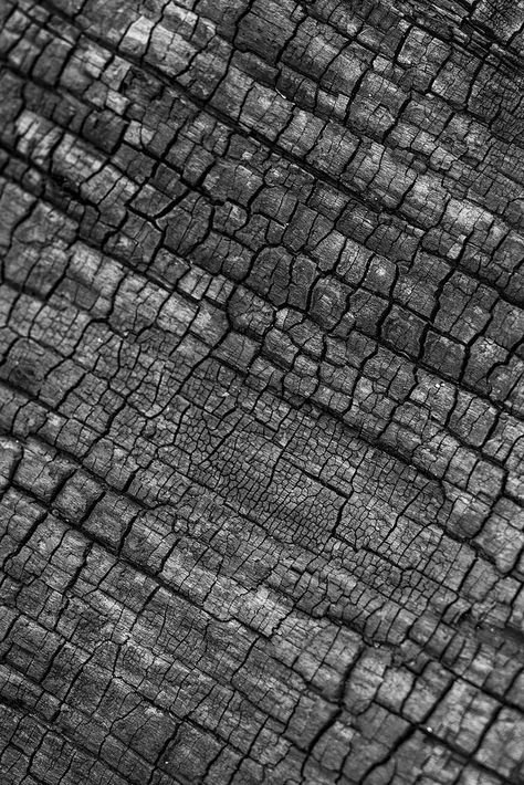 Charcoal texture background, abstract black design | free image by rawpixel.com / Teddy Charcoal Texture, Texture Nature, Nature Texture, Rock Background, Iphone Wallpaper Texture, Charcoal Wallpaper, Wood Charcoal, Wallpaper Texture, Photo Texture