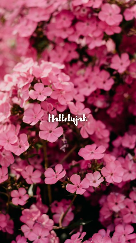 Hallelujah Wallpaper, Jesus Background, Wallpaper Floral, Jesus Wallpaper, Bible Passages, Ayat Alkitab, Christian Love, Lucky Girl, Prayer Quotes