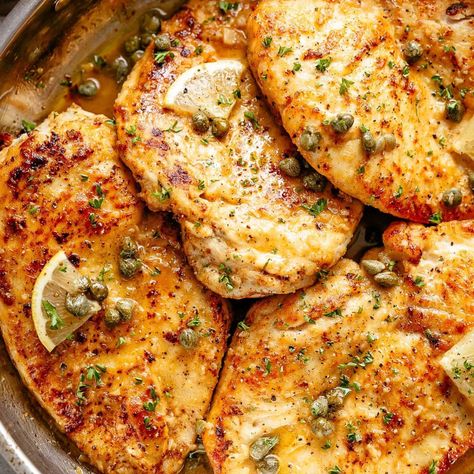 The BEST Chicken Piccata Best Chicken Piccata, Piccata Chicken, Garlic Twist, Sandwich Melts, Lemon Garlic Sauce, Brunch Desserts, Chicken Cacciatore, Chicken Piccata, Best Chicken