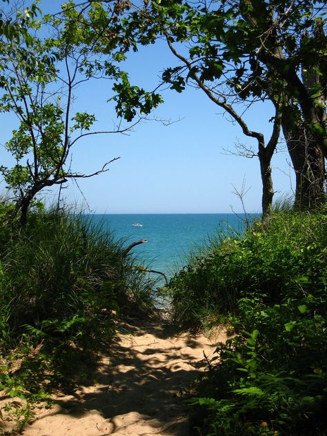 Indiana Dunes state park Michigan Dunes, Indiana Summer, Chesterton Indiana, Indiana Dunes State Park, Indiana Travel, Northern Indiana, Indiana Dunes, Michigan City, Indiana State