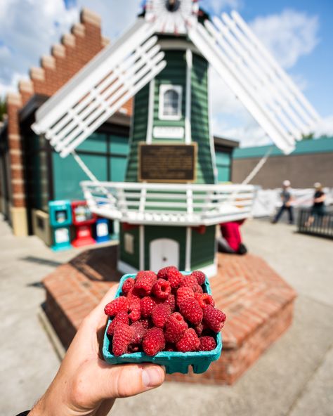 Lynden Washington, Western Washington University, Deli Style, Berry Farm, Evergreen State, Red Raspberry, Foodie Travel, Simple Things, Top Of The World