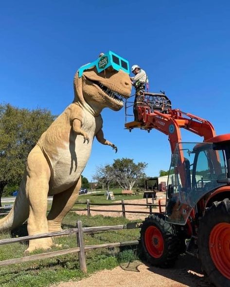 Not Cedar Park, but shout out to @dinovalleysp for these amazing images! 👏 👏 Texas is now officially ready for the eclipse!! #dinosaurvalleystatepark #trex #eclipse2024 #cedarparkmomvlog 🌕🌖🌗🌘🌑🌔🌓🌒 Dinosaur Valley State Park, The Eclipse, Amazing Images, April 6, Shout Out, Austin, Texas, On Instagram, Quick Saves