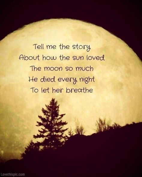 The sun loved the moon so much quotes cute dark night sun moon Quote Beautiful, You Are My Moon, Moon Quotes, Love Moon, Slaap Lekker, Moon Moon, Moon Sun, Anais Nin, Night Quotes