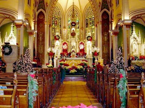 So nice Christmas Decor Ideas Church, Green Christmas Tree Decorations, Winter Wedding Planning, Church Christmas Decorations, Church Wedding Decorations, Church Pictures, Christmas Church, Real Christmas, Church Flowers