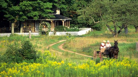 Road to Avonlea Best Period Dramas, Road To Avonlea, Anne Of Avonlea, Masterpiece Theater, Anne Shirley, Costume Drama, Historical Novels, British Tv, Anne Of Green