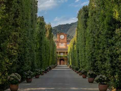 An insider's guide to Lucca, Italy's lesser-known fairytale city | CN Traveller Luca Italy, Things To Do In Lucca Italy, Luca Italy Tuscany, Lucca Tuscany, Lupaia Tuscany, Tuscany Bike Tour, Ponte Vecchio Florence, Lucca Italy, Best Holiday Destinations