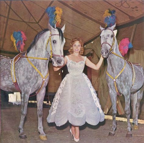 Haunted Circus, Circus Horse, Things To Create, Circus Aesthetic, Circus Costumes, Halloween Circus, Trick Riding, Horse Costumes, Circus Costume