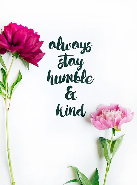 Always Stay Humble and Kind Free Printable Citation Force, Always Stay Humble And Kind, Stay Humble, After Life, E Card, Positive Thoughts, Cute Quotes, Beautiful Quotes, The Words