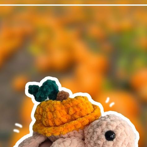 Anni on Instagram: "I had the honor of testing this pumpkin turtle for @mirilovescrochet 🥰🎃♥️ Thank you so much!

The instructions are super easy and I love how she turned out! Just perfekt for autumn 🥰

You should definitely check her out!

#crochetpattern #crocheting #pattern #patternrelease #amigurumi #häklen #crochetlove #crochet #pumpkin #pumpkinturtle #autumncrochet #autumn #crochetturtle" Crochet Turtle, Crochet Fall, Crochet Pumpkin, Thank You So Much, Super Easy, Amigurumi, Crochet Patterns, I Love, Thank You