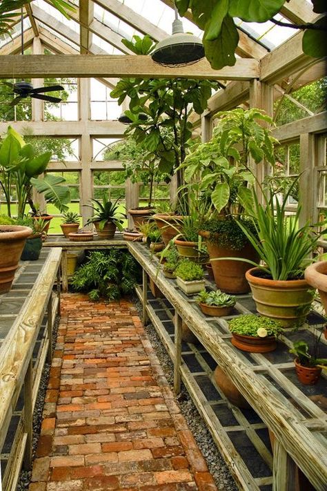 Brick Walkways, Taman Diy, Greenhouse Shed, نباتات منزلية, Indoor Greenhouse, Backyard Greenhouse, Desain Lanskap, Greenhouse Plans, Diy Greenhouse