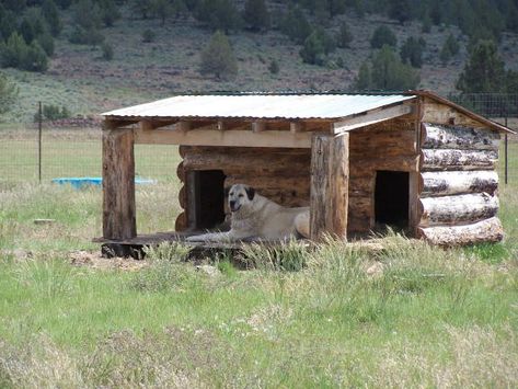 "Lost Armadillo Ranch Anatolian Shepherd dogs" www.citlink.net/~lostarmadillo Livestock Guardian Dog House, Livestock Dog, Cute Pupies, Guardian Dog, Outdoor Dog House, Livestock Guardian Dog, Cool Dog Houses, Livestock Guardian, Anatolian Shepherd