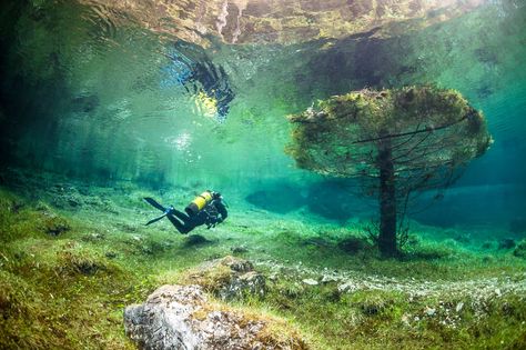 Green Lake in Tragoess, Austria. Beautiful park disappears UNDER WATER every year. Green Lake Austria, Underwater Park, Bawah Air, Green Lake, Taos, Alam Yang Indah, Underwater World, Scuba Diving, Places To See