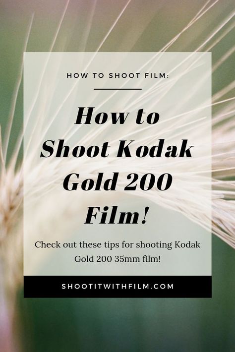 How to Shoot Kodak Gold 200 Film » Learn how to shoot film with these film photography tips and tutorials on Shoot It With Film #shootitwithfilm #filmisnotdead #ishootfilm #35mmfilm #35mm #35mmfilmphotography #filmphotography #kodak #kodakfilm #kodakgold Kodak Gold 200 35mm, Vintage Film Photography Aesthetic, Kodak Gold 200 Film Photos, Kodak Gold Film, Kodak Gold 200 Film, Film Shots, Kodak Gold 200, Film Tips, Manual Photography