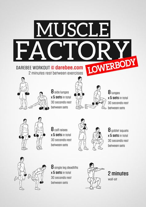 Workouts With Weights, Lower Body Workouts, Fitness Studio Training, Dumbell Workout, Kettlebell Training, Muscle Building Workouts, Weight Training Workouts, Popular Workouts, Body Workout Plan