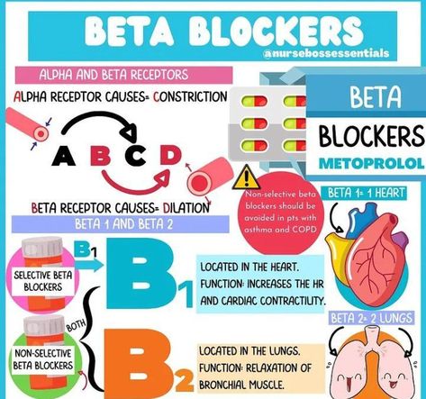 Beta blockers - MEDizzy Propranolol Beta Blockers, Beta Blockers Pharmacology, Alpha And Beta Receptors, Medic School, Nerdy Nurse, Adrenergic Receptors, Nurse Study, Calcium Channel Blockers, Bells Palsy