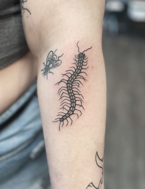 Dot Work Animal Tattoo, Millipede Illustration, Insects Tattoo, Centipede Tattoo, 16 Tattoo, Tattoo Filler, Insect Tattoo, Bug Tattoo, Sick Tattoo