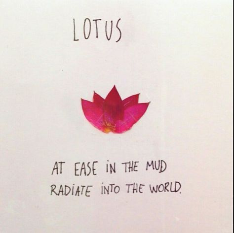 Lotus at ease in the mud radiate into the world. Buddhism, zen, lotus, quote Lotus Quotes Inspiration Beautiful, Lotus Flower Captions For Instagram, Lotus Caption, Lotus Flower Quotes Inspirational, Serene Tattoo, Rosé Nails, Buddhism Aesthetic, Hindu Aesthetics, Lotus Quotes