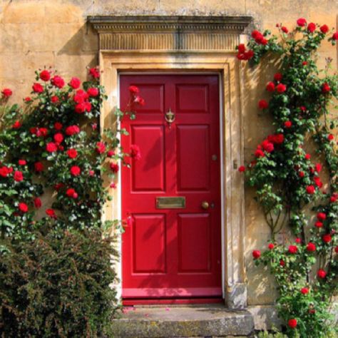 Red door, red climbing rose (For booklet?) Red Front Door, Gorgeous Doors, Open Door, Open The Door, Red Door, Door Color, Beautiful Doors, The Doors, Shutters