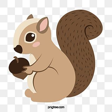 Squirrel Cute, Squirrel Clipart, Elephant Background, Fire Vector, Picsart Png, Cartoon Clouds, Kids Background, Cute Squirrel, Character Sketches