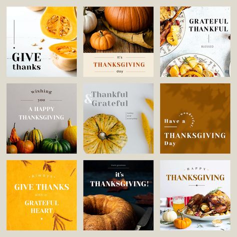 Thanksgiving greeting editable template vector set for social media posts | free image by rawpixel.com / kotchakorn mana Thanksgiving Posts Social Media, Thanksgiving Advertising, Thanksgiving Social Media Post, Thanksgiving Alcohol, Thanksgiving Graphics, Thanksgiving Post, Halloween Template, Template Food, Pumpkin Dishes