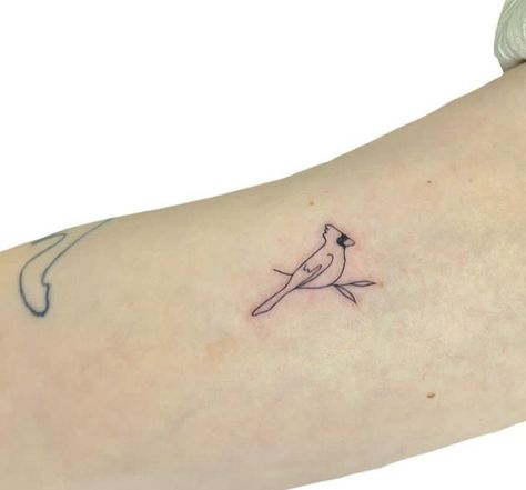 Tiny Cardinal Tattoo Simple, Blue Jay Tattoo Simple, Dainty Cardinal Tattoo, Red Cardinal Tattoos, Small Cardinal Tattoo, Red Bird Tattoos, Cardinal Tattoo, Cardinal Tattoos, Tiny Wrist Tattoos