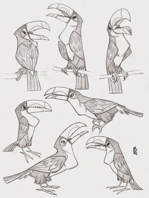 Toucan Character Design, Toucan Drawing, Love Character Design, Toucan Illustration, Love Character, Animal Study, Desenho Tattoo, Animal Sketches, Bird Drawings