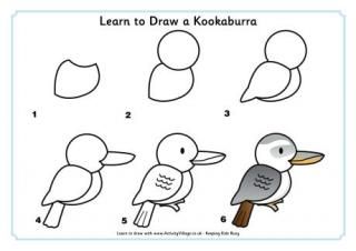 Learn to Draw Aussie Animals How To Paint A Kookaburra, Kookaburra Drawing, Kookaburra Art, Koala Drawing, How To Draw Animals, Activity Village, Drawing Instructions, Sunflower Drawing, Directed Drawing