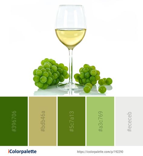 Color palette theme related to champagne stemware, drink, drinkware, fruit, glass, Image, stemware, tableware, white wine, wine, wine glass, . Download color palette as Pdf, Adobe swatch and more. Wine Color Palette, Wine Glass Images, Wine Colored, Free Illustrations, Stemware, Color Card, White Wine, Color Patterns, New Color