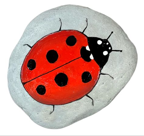 Painted ladybug rock Lady Bird Rock Painting, Ladybug Rock Painting, Ladybug Painting, Lady Bug Painted Rocks, Painting On Rocks, Painted Ladybug, Ladybug Rocks, Rock Painting Patterns, Lady Bird