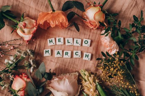 Free stock photo of april, beautiful flowers, beauty Hello March Aesthetic, Spring Wallpaper Desktop, Ministering Lds, March Aesthetic, National Nutrition Month, Read Across America Day, Hello March, Best Friend Day, March Month