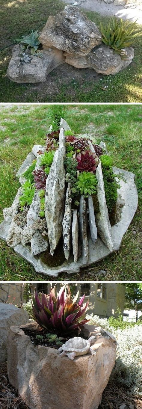 Natural Rock Planters. Similar to the idea of hollowing out a tree stump, there are also plants that will grow really well in shallow rocks. You might already have a few rocks that are hollow enough to support succulents or dessert plants, but you can also group a few rocks or stones together to create a natural little rock garden. Rock Planters, Diy Gardening, Have Inspiration, Garden Containers, Unique Gardens, Natural Garden, Succulents Garden, The Grass, Rock Garden