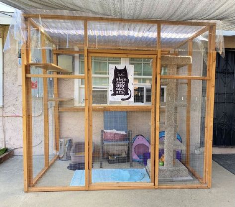 20 Free DIY Catio Plans: Build Your Outdoor Cat Enclosure Catio Plans, Catio Ideas, Diy Cat Enclosure, Outdoor Pet Enclosure, Ideas For Cats, Katt Grejer, Chat Diy, Kat Diy, Cat Patio