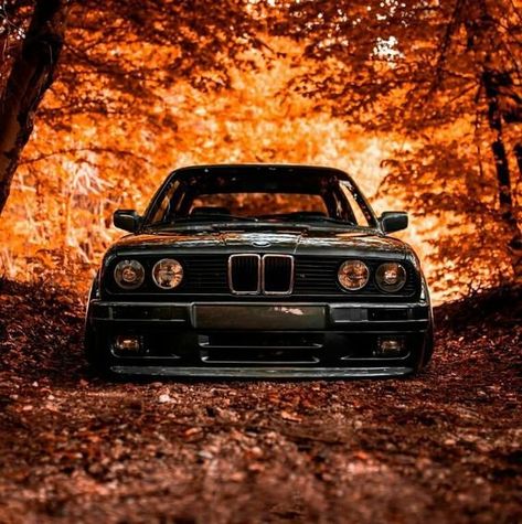 BMW automobile - attractive picture Bmw E30 M, E60 Bmw, E30 Bmw, Bmw E30 M3, E30 M3, Bmw Classic Cars, Bmw Wallpapers, Bmw Love, Bmw Classic