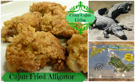 Cajun Fried Alligator     My Cajun family loves a nice batch of fried alligator meat. It is a treat when hunting season is in. Out of season you dig in the freezer to see what you have left or hit the local market for frozen meat. Fresh is always the best.. Yumm.  **For The Recipe Join Our Fan Page**  www.Facebook.com/CrazyCajunLiving Gator Bites Recipe, Smoked Alligator, Alligator Recipes, Fried Alligator Recipe, Gator Bites, Alligator Bites, Fried Alligator, Gator Recipe, Cajun Meals