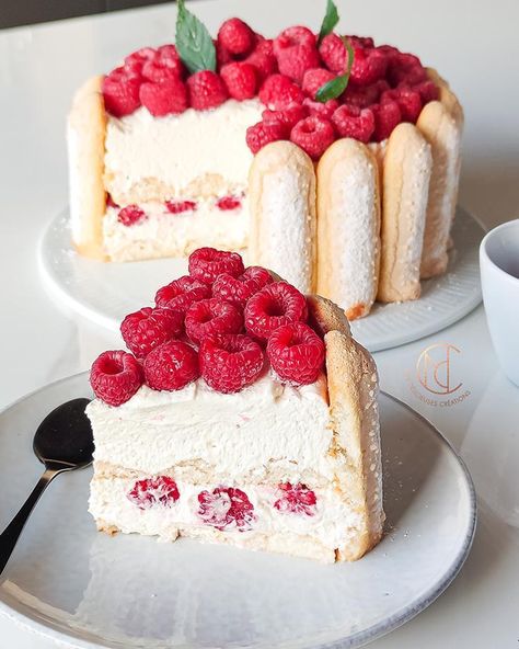 Charlotte framboises sans cuisson - Mes Délicieuses Créations Raspberry Tiramisu, Fancy Desserts Recipes, Charlotte Cake, Cake Filling Recipes, Tiramisu Recipe, Kinds Of Desserts, Cake Fillings, Fancy Desserts, Baking Sweets