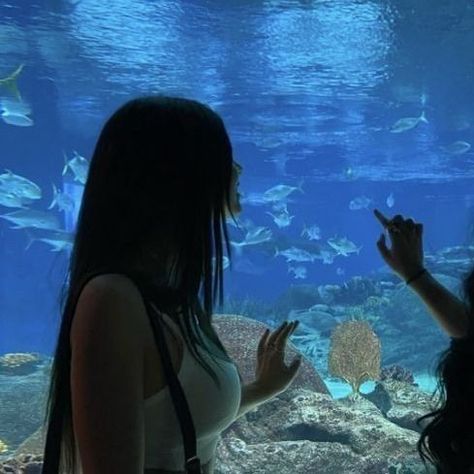 Bff Pfp Matching Aesthetic, Aquarium Pictures, Matching Friend, Best Friend Match, Foto Ideas Instagram, 판타지 아트, Cute Profile Pictures, Matching Profile Pictures, Sealife