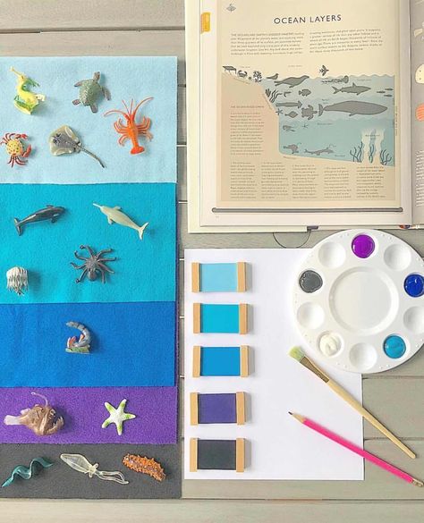 Creating Curriculum, Instagram Invitation, Ocean Zones, Pre-k Science, Ocean Theme Preschool, Montessori Color, Sea Activities, Ocean Unit, Toddler Homeschool