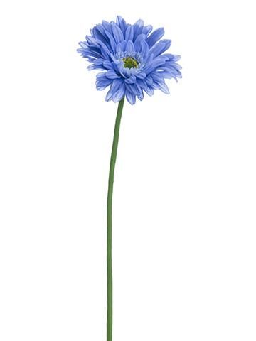 Blue Gerbera Daisy, Diy Artificial Flowers, Delphinium Blue, Flower Tattoo Back, Aster Flower, Christmas Garlands, Flower Tattoo Shoulder, Vintage Png, Flower Tattoo Sleeve