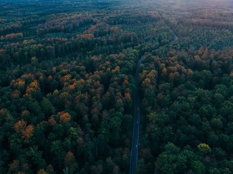 Glamping & Hiking in Black Forest — HER 86m2 - by Thuy Dao Real Life Fairies, Black Forest Germany, The Black Forest, Mystical Forest, Beautiful Forest, Road Trip Fun, Scenic Drive, Basel, Black Forest