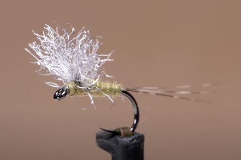 Blue Winged Olive, Hunting Lifestyle, Orvis Fly Fishing, Make A Tie, Fly Fisherman, Fly Tying Patterns, Fishing Videos, Fly Shop, Catching Fish