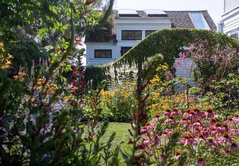 Cape Cod Garden, Land Form, Provincetown Massachusetts, Garden Hedges, Cape Cod House, Outdoor Room, Sculpture Garden, Dream Cottage, Sandy Soil