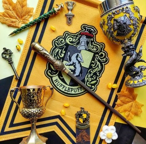 Hogwarts Aesthetic Hufflepuff, Harry Potter Iphone Wallpaper, Harry Potter Cursed Child, Harry Potter Iphone, Hufflepuff Aesthetic, Hufflepuff Pride, School Of Witchcraft, Harry Potter Food, Harry Potter Cosplay