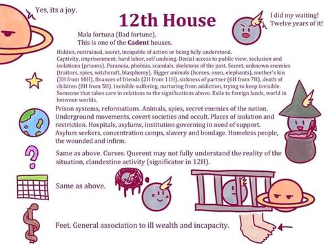 Twelfth House explained House Astrology, Astrological Houses, Astrology Meaning, Birth Chart Astrology, Witchcraft Spell Books, Anime Printables, Chakra Yoga, Big Animals, Spells Witchcraft