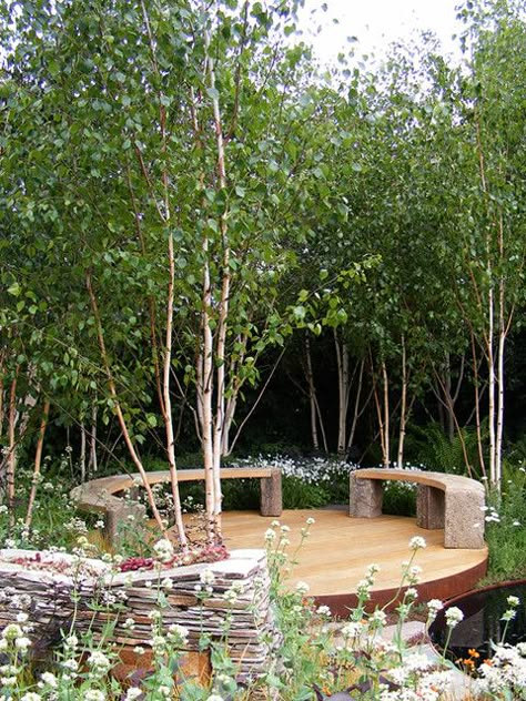 Circular Seating Area, Birch Trees Garden, Nigel Dunnett, Circular Seating, Sustainable Garden Design, Garden Seating Area, Corner Garden, Australian Garden, Silver Birch