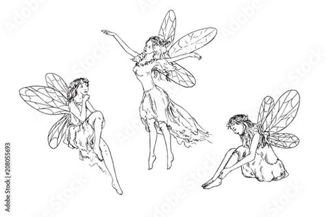 Sketch Black And White, Fairy Drawing, Fairies Flying, Rose Drawing Tattoo, Fairies Photos, Fairy Paintings, Fairy Tattoo Designs, Fairy Drawings, Black And White Vector