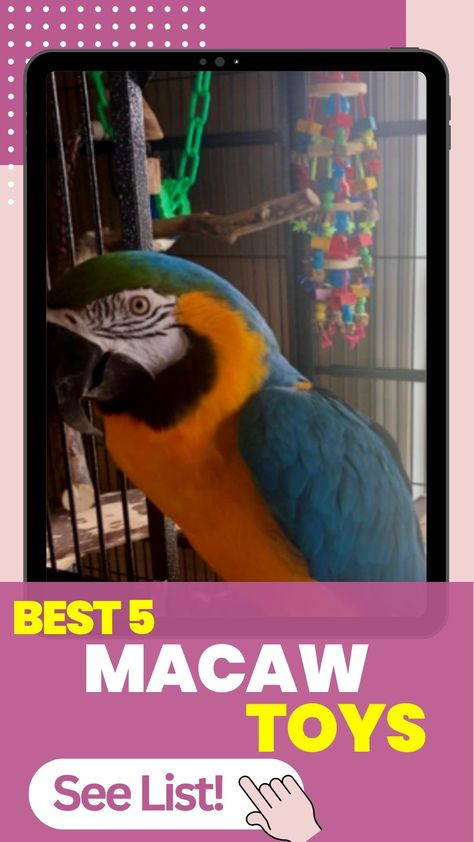 Best 5 Macaw Toys in 2023! Macaw Toys Diy, Macaw Toys, Best Toys, Parrot Toys, How To Make Toys, Bird Toys, Diy Toys, The List, Parrot