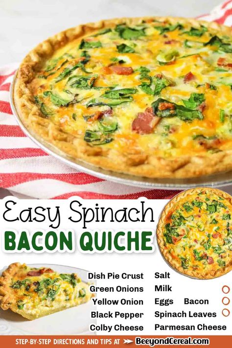 Breakfast is made easy with this spinach and bacon quiche recipe. Once you know how to make a quiche, you'll never look at breakfast the same way again. This recipe is so simple and easy, cheesy and delicious! Everyone will love breakfast, brunch, or even diner (depending on when you want to serve it). How To Make A Quiche, Bacon Quiche Recipes, Easy Quiche Recipes, Spinach And Bacon Quiche, Spinach Bacon Quiche, Veggie Quiche Recipes, Quiche Bacon, Bacon Quiche Recipe, Bacon Spinach Quiche